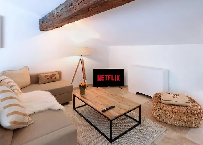 Longue Vie Au Roi - Vue Enchanteresse * Carcassonne