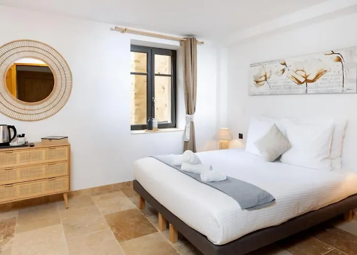 Longue Vie Au Roi - Vue Enchanteresse Carcassonne