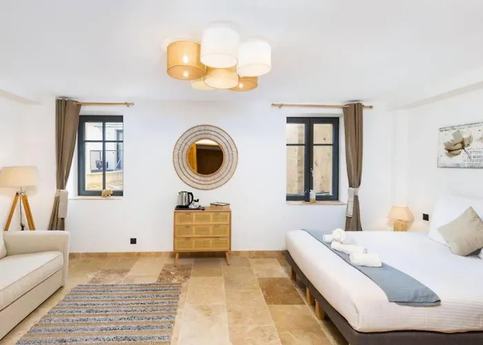 Longue Vie Au Roi - Vue Enchanteresse Carcassonne